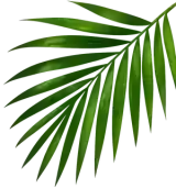 Decorative leaf